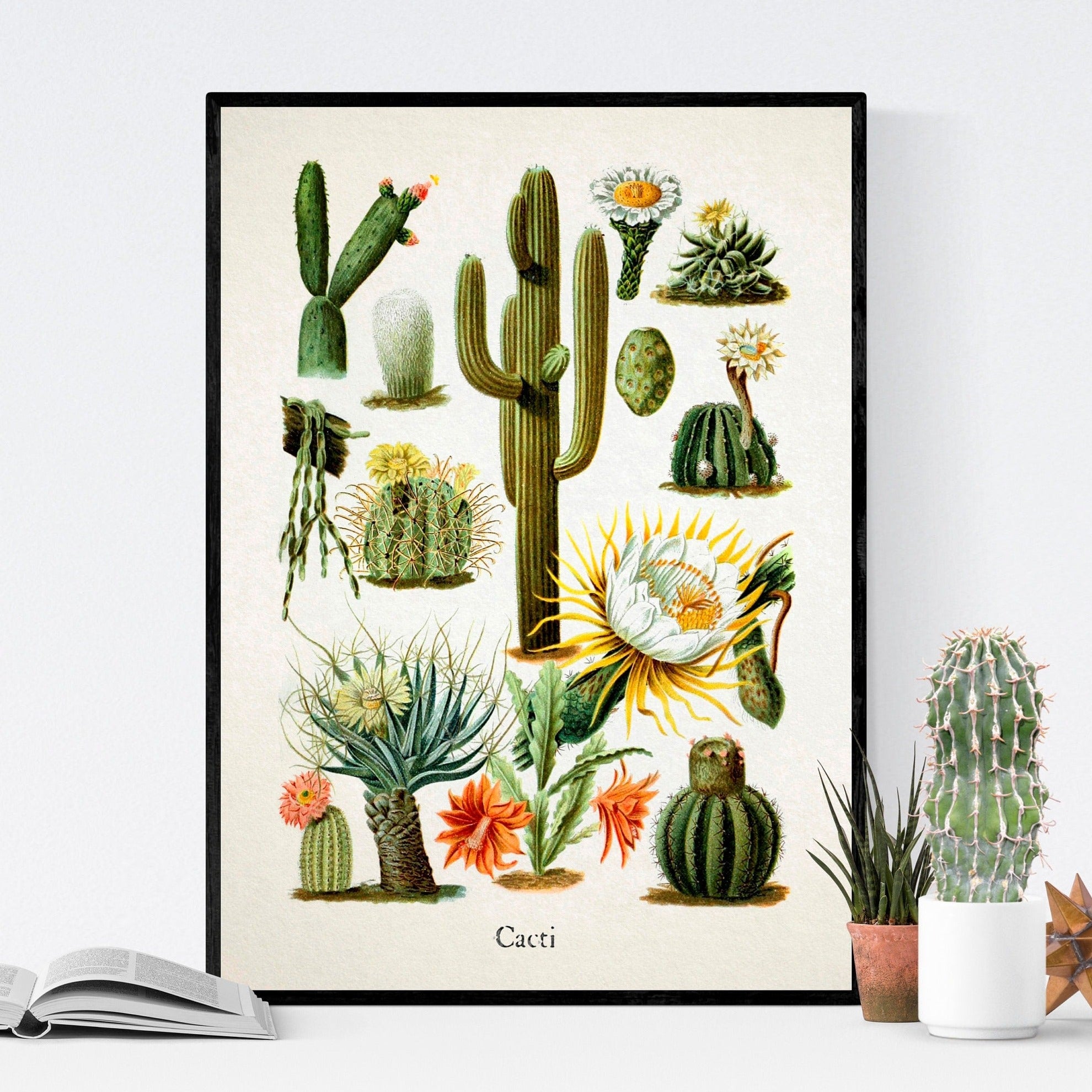 Cactus BBQ (Father’s Day) - Limited Edition Fine Art Print offers (of 10)